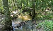 Randonnée Marche Gembloux - Corroy le chateau. Bossiere - Photo 3