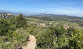 Trail Walking Tautavel - Tautavel. Tour del far  - Photo 3