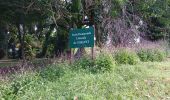 Tour Wandern Basse-Pointe - Exploitations agricoles en boucle N°1 - Photo 8