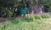Tour Wandern Basse-Pointe - Exploitations agricoles en boucle N°1 - Photo 8