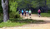 Tour Wandern La Cadière-d'Azur - La Peyguiere - Revers de Bocquié - Le télégraphe - La barbarie - Photo 10