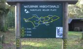 Excursión A pie Wolfhagen - Habichtswaldsteig - Extratour Wolfhagen - Photo 9