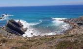 Trail Walking Crozon - FINISTÈRE-  CAP de la CHÈVRE  - Photo 20