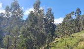 Tocht Stappen Chugchillan - Sigchos - Quilotoa - Day 3 (chugchilan - Quilotoa) - Photo 4