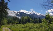 Randonnée Marche Chamonix-Mont-Blanc - la cascade du Dard à gare de Chamonix  - Photo 12