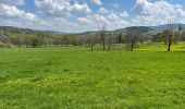 Randonnée Marche Saint-Romain-d'Urfé - Le Gaud - La Ménardie - Photo 1