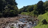 Randonnée Marche Petit-Bourg - Rivière Bras David - Photo 2