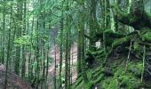 Randonnée Marche Murat - GR400 Tour du Cantal - Photo 1