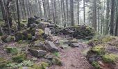 Trail Walking Saint-Dié-des-Vosges - Massif de l'Ormont et ses rochers remarquables - Photo 9