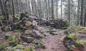 Percorso Marcia Saint-Dié-des-Vosges - Massif de l'Ormont et ses rochers remarquables - Photo 9