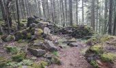 Randonnée Marche Saint-Dié-des-Vosges - Massif de l'Ormont et ses rochers remarquables - Photo 9