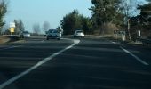 Percorso A piedi Aydat - Le Puy de Vichatel - Photo 2