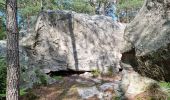 Tocht Stappen Fontainebleau - Fontainebleau sentier Denecourt 7-8 8-8 - Photo 9