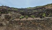 Tour Wandern Collioure - stElme - Photo 1