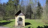 Excursión A pie Kammern im Liesingtal - Marterlweg Kammern Rundgang 1 (Grün) - Photo 8