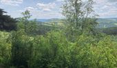 Tocht Noords wandelen Massegros Causses Gorges - Point sublime et tour du Causse de Sauveterre - Photo 4