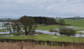 Tour Wandern Herbeumont - litarbre - Photo 1