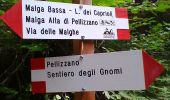 Randonnée A pied Pellizzano - Sentiero degli Gnomi - Photo 8