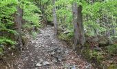 Randonnée Marche La Combe-de-Lancey - Col du Pré du Molard - Photo 18