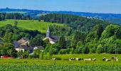 Tour Wandern Bouillon - Balade à Ucimont - Photo 1