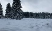 Tocht Sneeuwschoenen Malmedy - Randonnée raquettes Mont Spinette-Malmédy - Photo 7