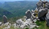 Randonnée Marche Gréolières - Gréolières les Neiges - Collet de Barri- Cime du Cheiron - Croix de Verse - Combe d'Henry - Photo 13