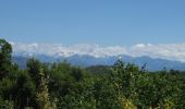 Tocht Stappen Vence - Puy de Tourrettes et plateau de Saint Barnabé - Photo 3