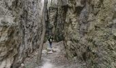 Excursión Senderismo Chantemerle-lès-Grignan - les creva es de chante merle - Photo 12