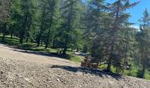 Percorso Marcia Monginevro - Belvedere  - Photo 6