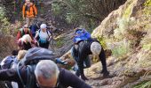 Tour Wandern Le Muy - La Combe Renaude et le Pic Rébéquier - Photo 5