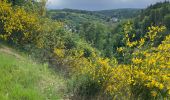Trail Walking Monschau - Tour de Monschau 20Km - Photo 17