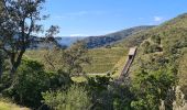 Tour Wandern La Môle - La Mole - Barrage de la Verne  - Photo 14