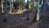 Tour Zu Fuß Gomadingen - Eiszeitpfade: Laichinger Höhlentour - Photo 2