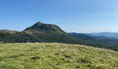 Tocht Stappen Ceyssat - Puy-de-Dôme, Petit Suchet et Grand Suchet - Photo 13