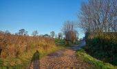 Percorso A piedi Somerset West and Taunton - Herepath Trail - Otterford - Photo 8