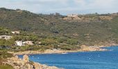 Excursión Senderismo Ramatuelle - PRESQU'ÎLE DE SAINT-TROPEZ - DE L'ESCALET AU CAP TAILLAT - Photo 3