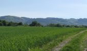 Trail Walking Escoutoux - 2022-05-10 Sainte Marguerite - Photo 2