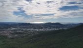 Tour Wandern La Farlède - sommet du Coudon en partant de La Farlède - Photo 4