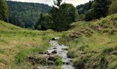 Percorso A piedi Schleusegrund - Naturlehrpfad 