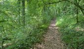 Trail Walking Fleurey-sur-Ouche - Fleurey/lantenay - Photo 16