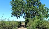 Randonnée Marche Olne - Du plateau à la vallée. Olne - Photo 6