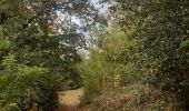 Trail Walking Liège - une heure dans le sentier des coteaux  - Photo 7