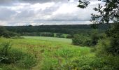 Tour Wandern Viroinval - Randonnée autour de Nismes - Photo 16