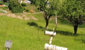 Tocht Stappen Labaroche - Autour du château du Petit Hohnack - Photo 12