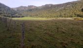 Excursión Senderismo Chambon-sur-Lac - Chaudefour sancy par kes crêtes  - Photo 19