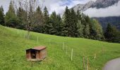 Excursión Senderismo Gemeinde Scheffau am Wilden Kaiser - Hintersteinersee - Photo 7