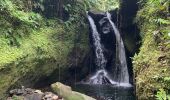 Randonnée Marche nordique Capesterre-Belle-Eau - Chute  - Photo 5