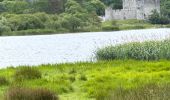 Trail Walking Killarney Municipal District - Walk in the Killarney National Park - Photo 10
