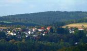 Tour Zu Fuß Bad Schwalbach - Schwälbchen's Flug - Photo 3