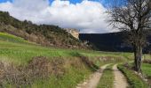 Percorso Marcia Rivière-sur-Tarn - Puech de Fontaneilles - Photo 7